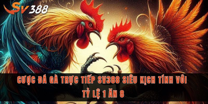 Đá gà trực tiếp Sv388