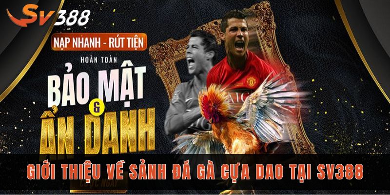 Giới thiệu về sảnh đá gà cựa dao tại Sv388