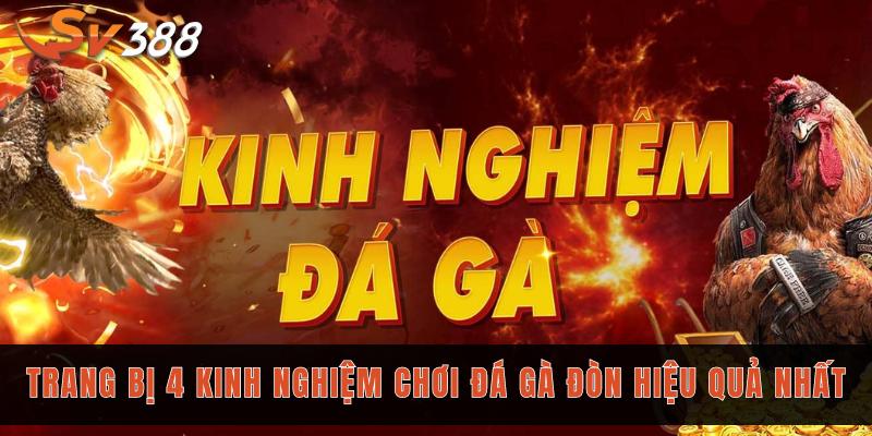4 kinh nghiệm đá gà đòn SV388 mà bạn cần biết 3 Trang bị 4 kinh nghiệm chơi đá gà đòn hiệu quả nhất