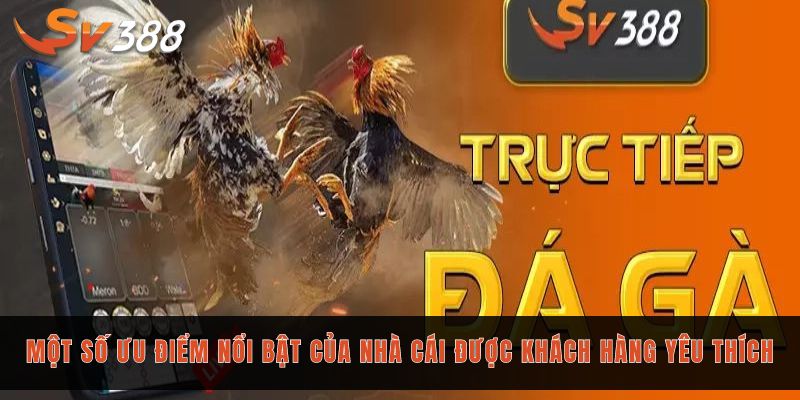 Giới thiệu Sv388 - Sân chơi cá cược đẳng cấp số 1 Châu Á 2 Một số ưu điểm nổi bật của nhà cái được khách hàng yêu thích
